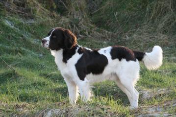 Standfoto-Jarno-Eefje